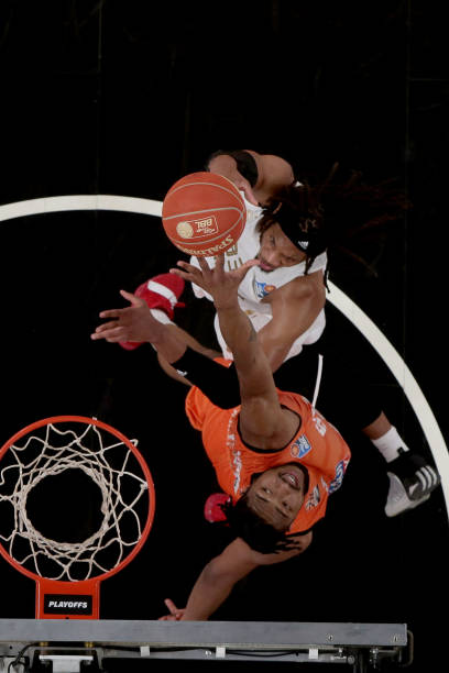 不仅证明了 不仅证明了