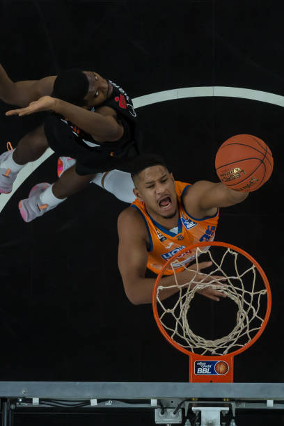 归五棵松体 归五棵松体